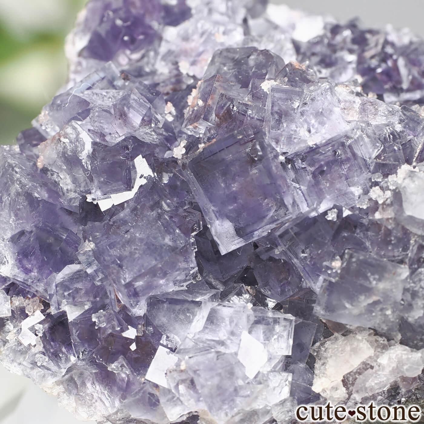 ɥ Niederschlag mine ߥե饤Ȥθ No.9μ̿3 cute stone