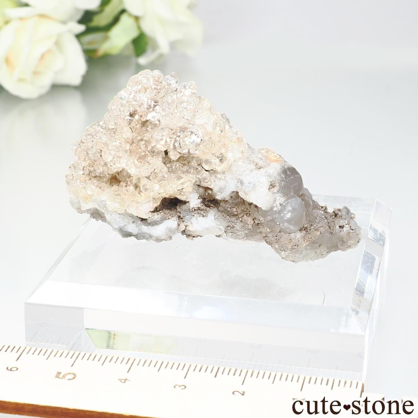ᥭ San Luis Potosi ϥ饤(ѡ)θ No.3μ̿5 cute stone