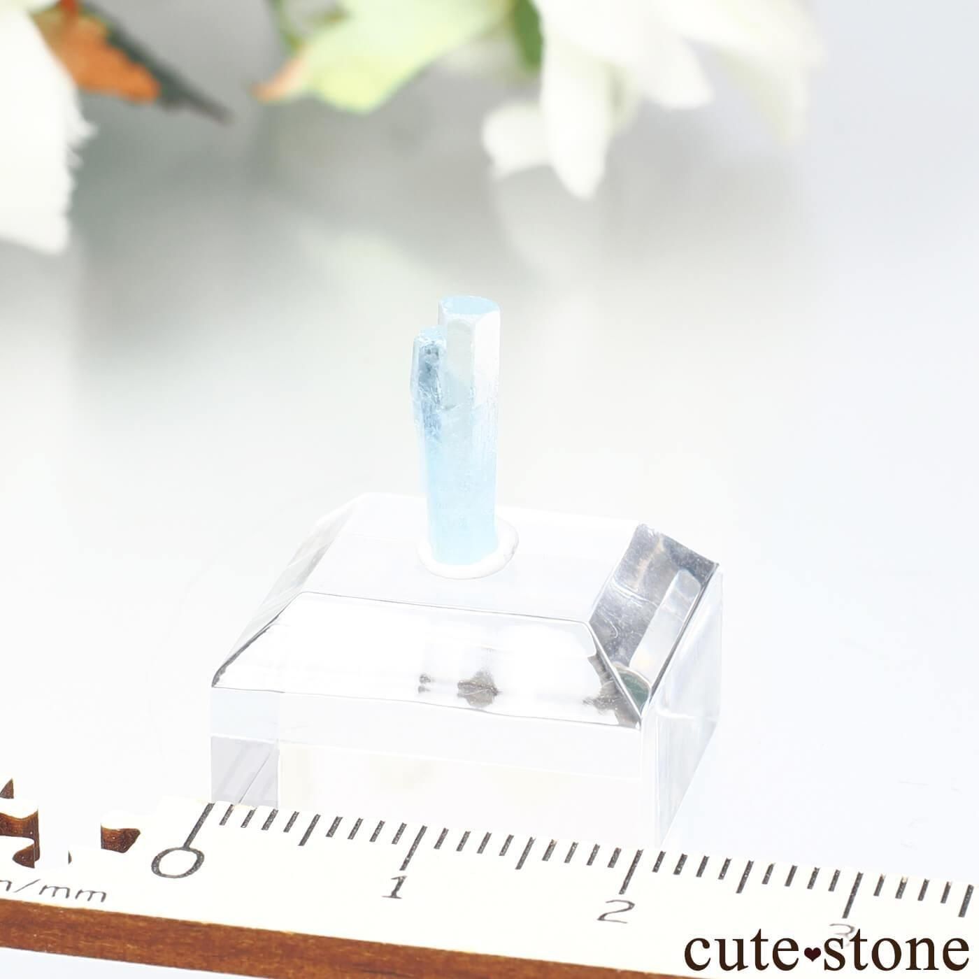 ٥ȥʥ Xuan Le ޥθ No.6μ̿3 cute stone