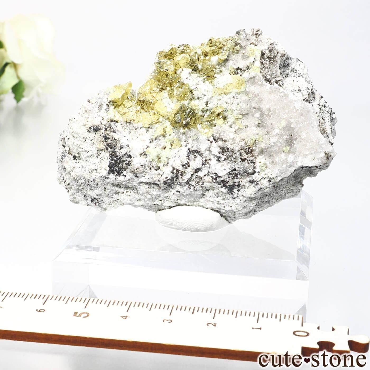 ꥫ ˥塼衼 Empire State No. 4 Mine ե饤ȡ륵Ȥθ No.8μ̿4 cute stone
