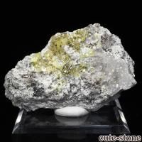 cute stone ｜アイテムの検索（20,001円～30,000円）