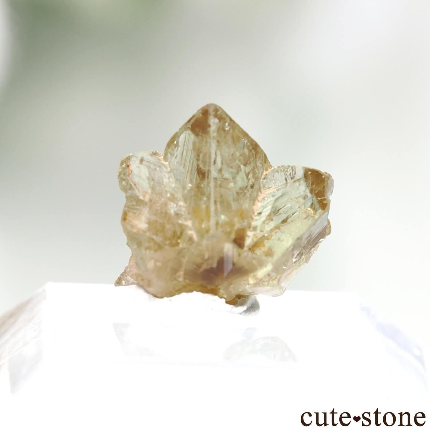 ֥饸 Espirito Santo ꥽٥θ  No.2μ̿1 cute stone