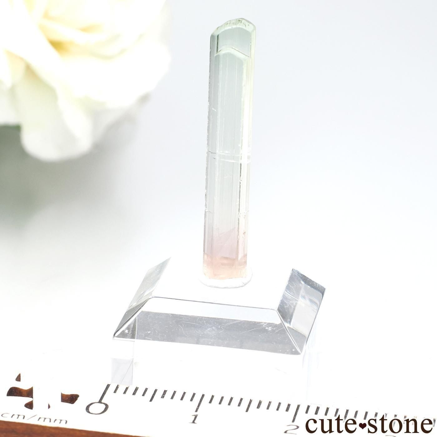 コンゴ Rubaya産 グリーン×ピンクトルマリンの原石 No.6 - cute stone -