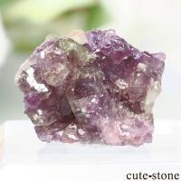 ʥ ٥å Jeffrey Mine ٥ӥʥȤθ No.12β