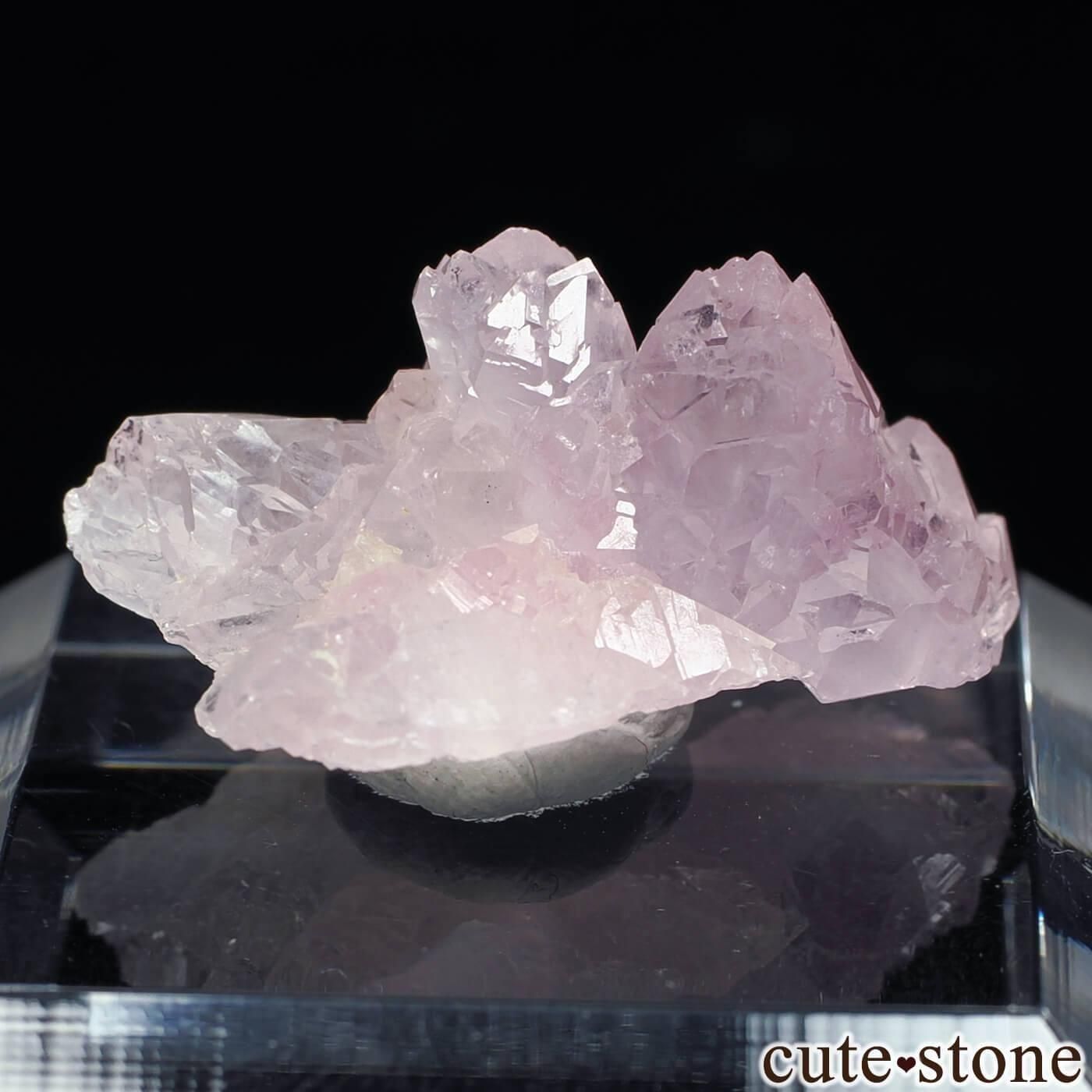 ֥饸 Pitorra claim Ĥθ No.6μ̿1 cute stone