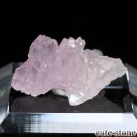 ֥饸 Pitorra claim Ĥθ No.6β