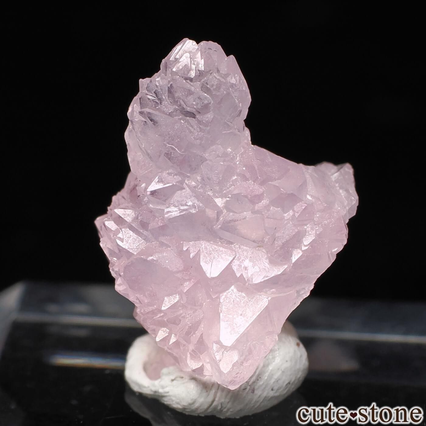 ֥饸 Pitorra claim Ĥθ No.7μ̿2 cute stone