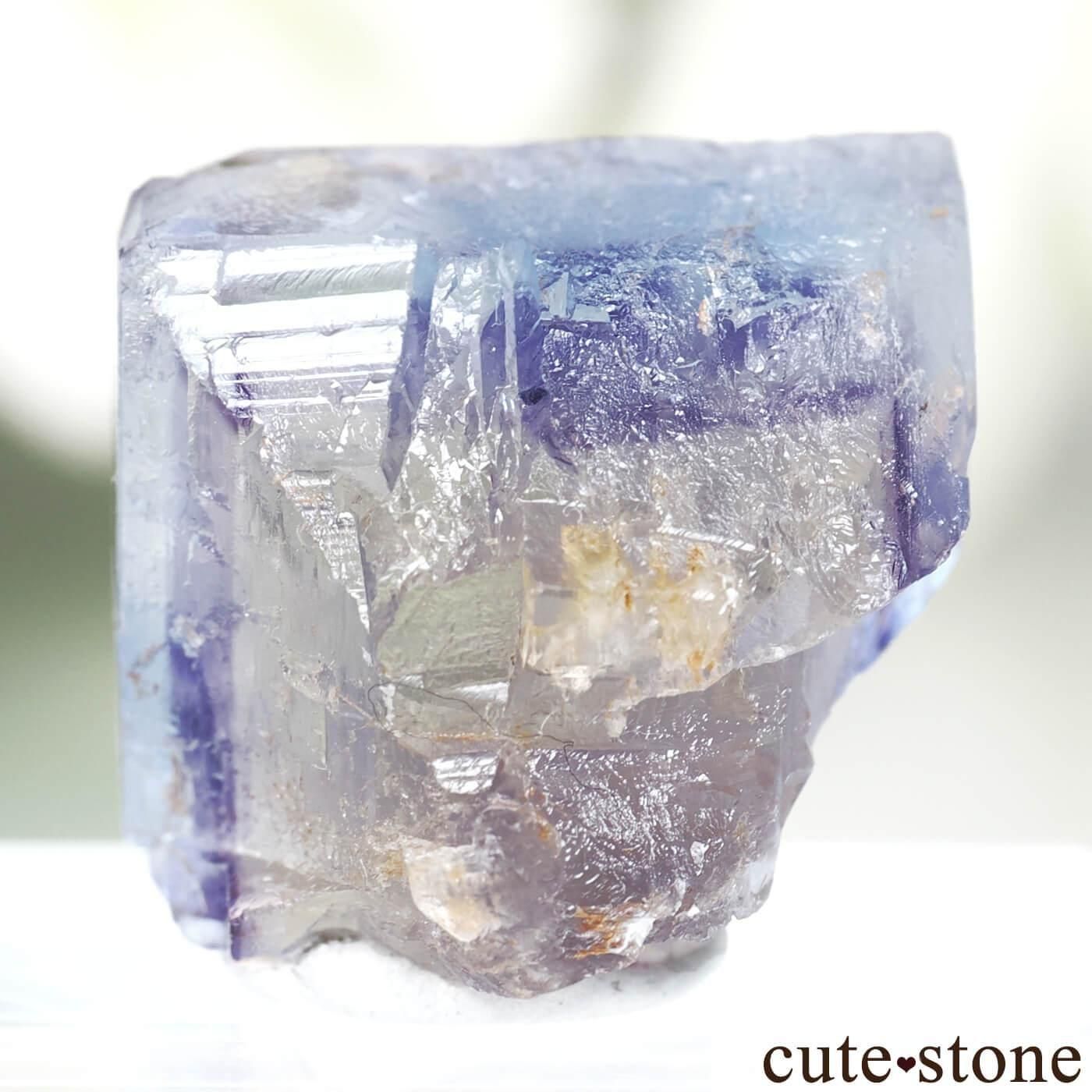 ե Clersange Sector ֥롼ߥѡץߥե饤ȸ No.1μ̿1 cute stone