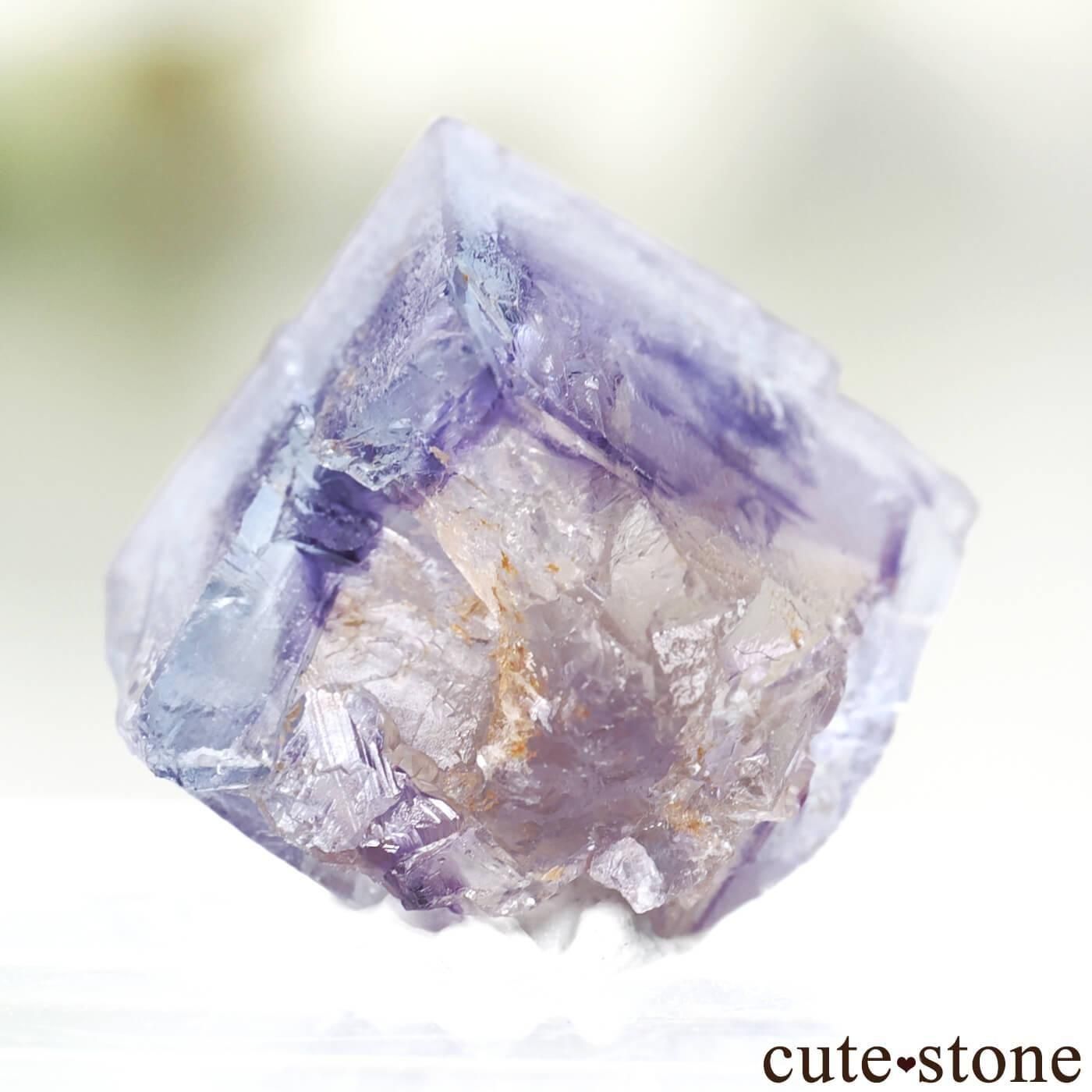 ե Clersange Sector ֥롼ߥѡץߥե饤ȸ No.2μ̿1 cute stone