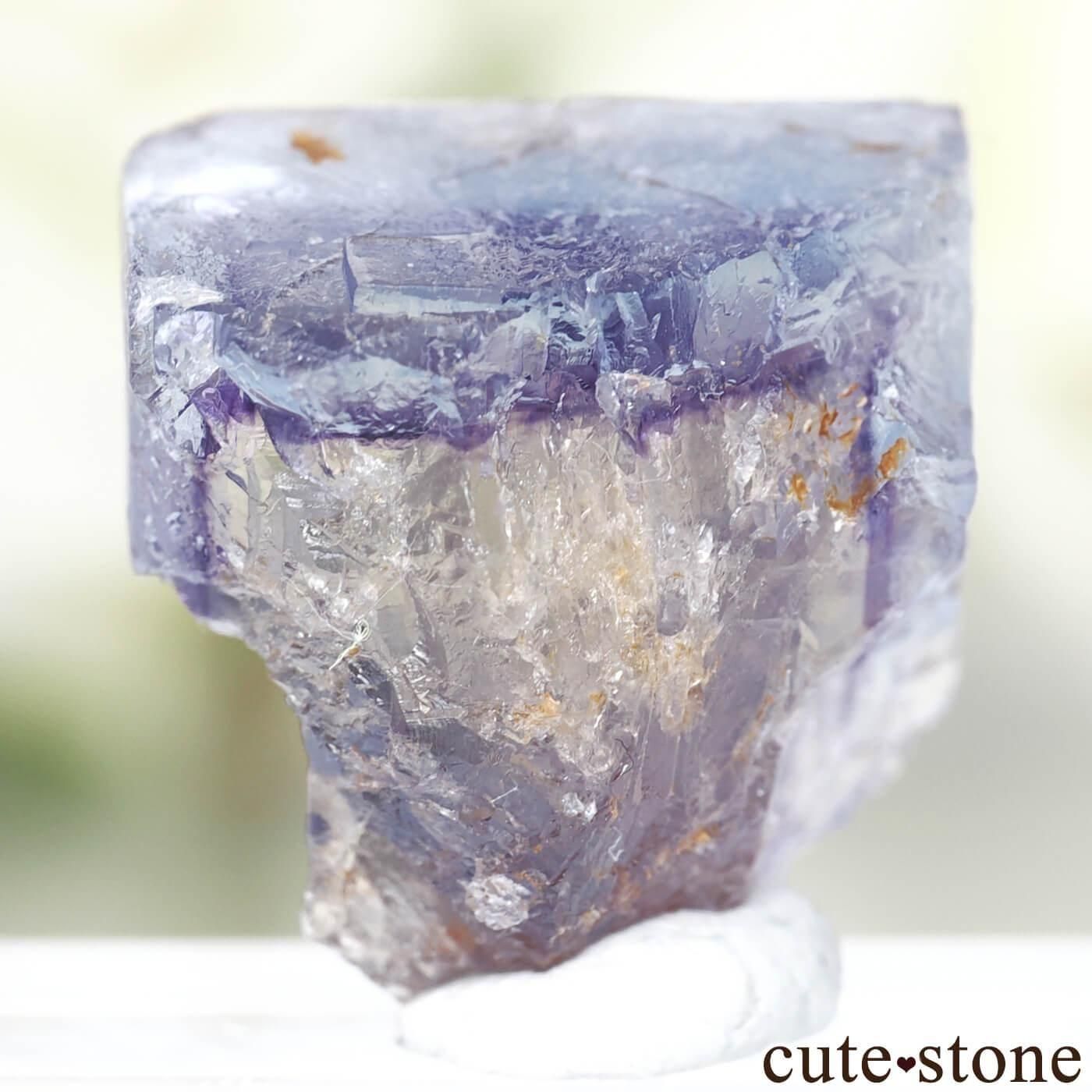 ե Clersange Sector ֥롼ߥѡץߥե饤ȸ No.3μ̿1 cute stone