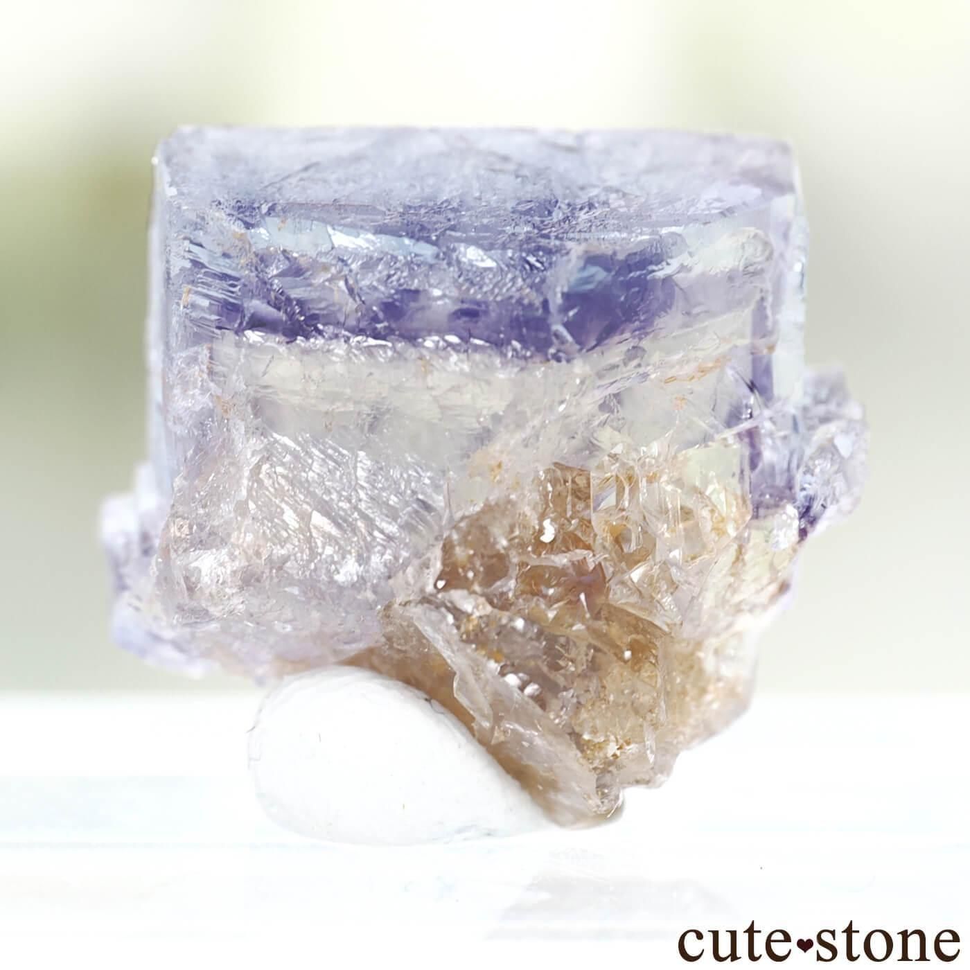 ե Clersange Sector ֥롼ߥѡץߥե饤ȸ No.4μ̿1 cute stone