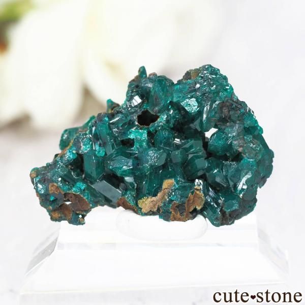 ダイオプテーズ（翠銅鉱）」の商品一覧（ブレスレット、etc）【cute