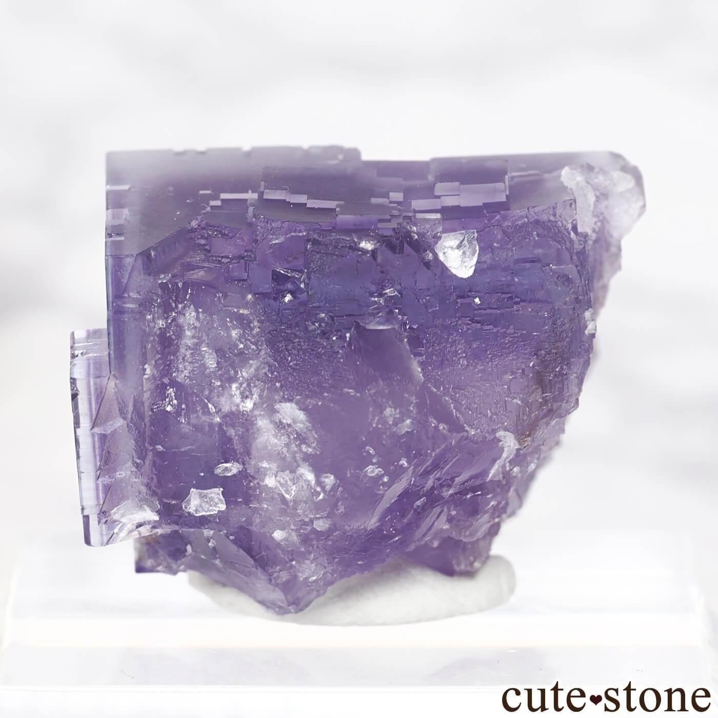 ڥ Berbes ѡץե饤Ȥθ No.29μ̿1 cute stone