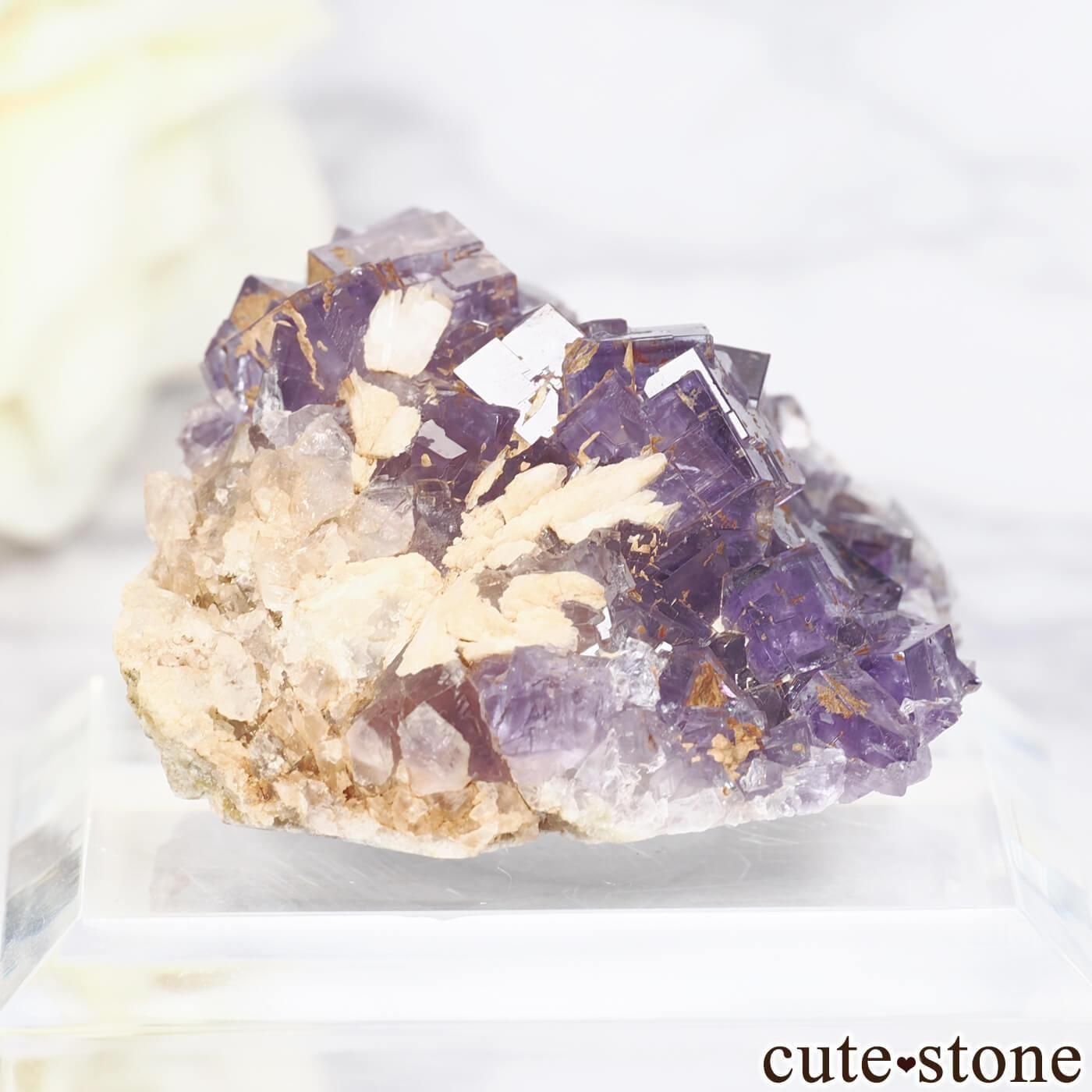 ڥ Berbes ѡץե饤Ȥθ No.30μ̿0 cute stone