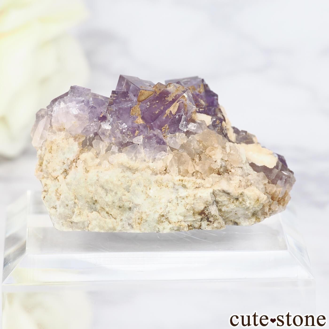 ڥ Berbes ѡץե饤Ȥθ No.30μ̿1 cute stone