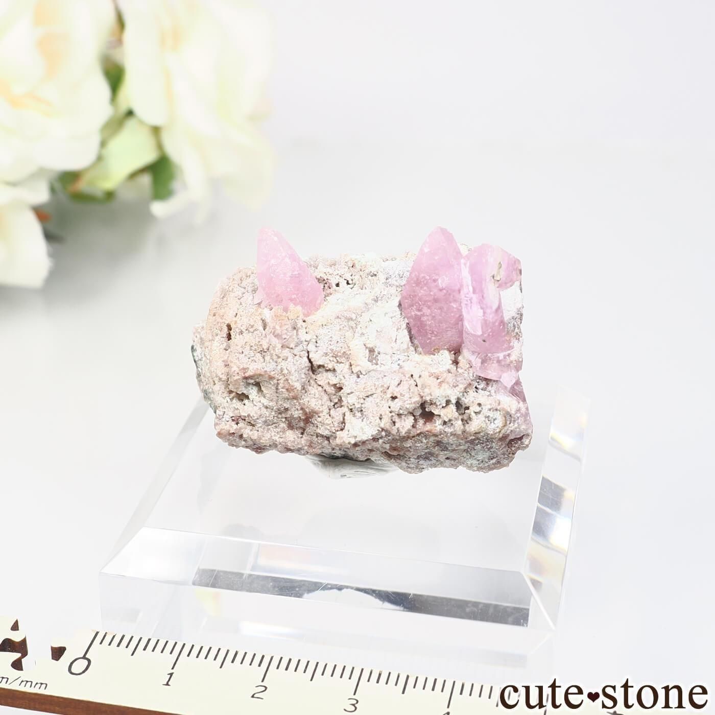 コンゴ Mashamba West Mine産 ピンクカルサイトの原石 No.1 - cute stone -