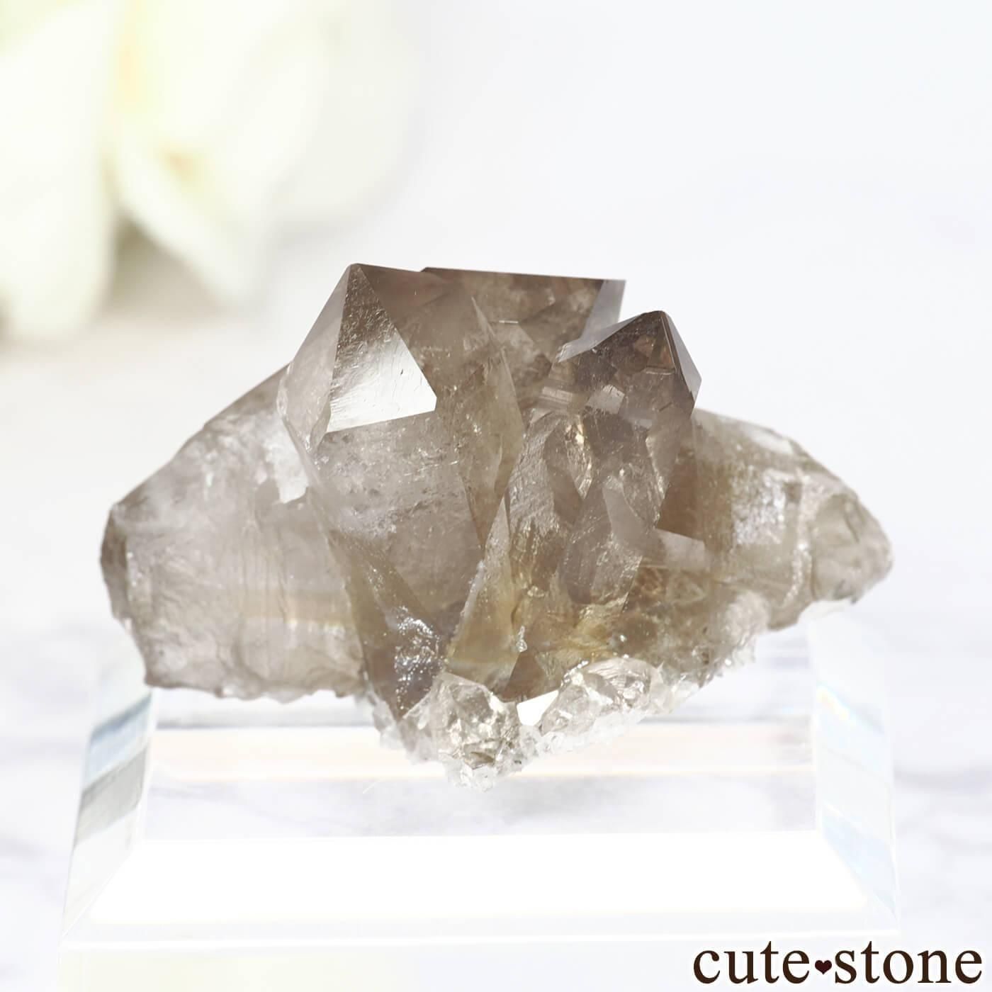 ե ֥󻺡ʥץ ⡼ġʿ徽 No.6μ̿1 cute stone