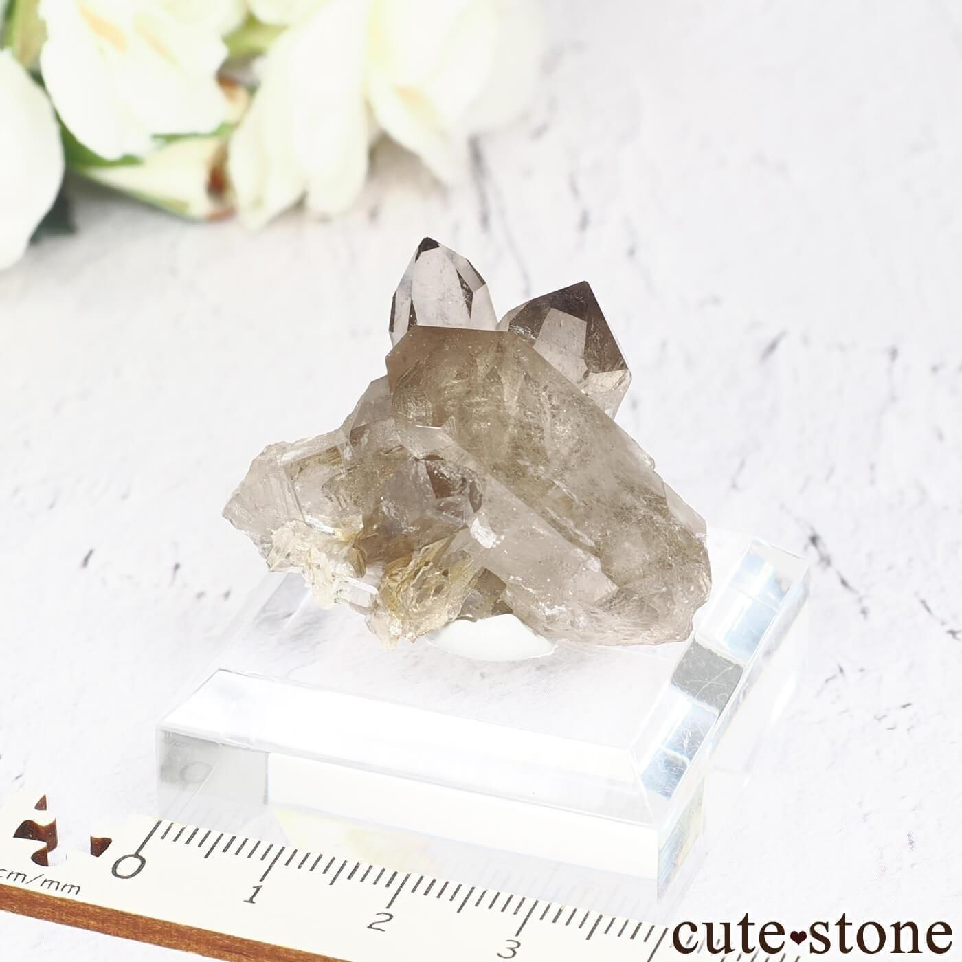 ե ֥󻺡ʥץ ⡼ġʿ徽 No.6μ̿3 cute stone