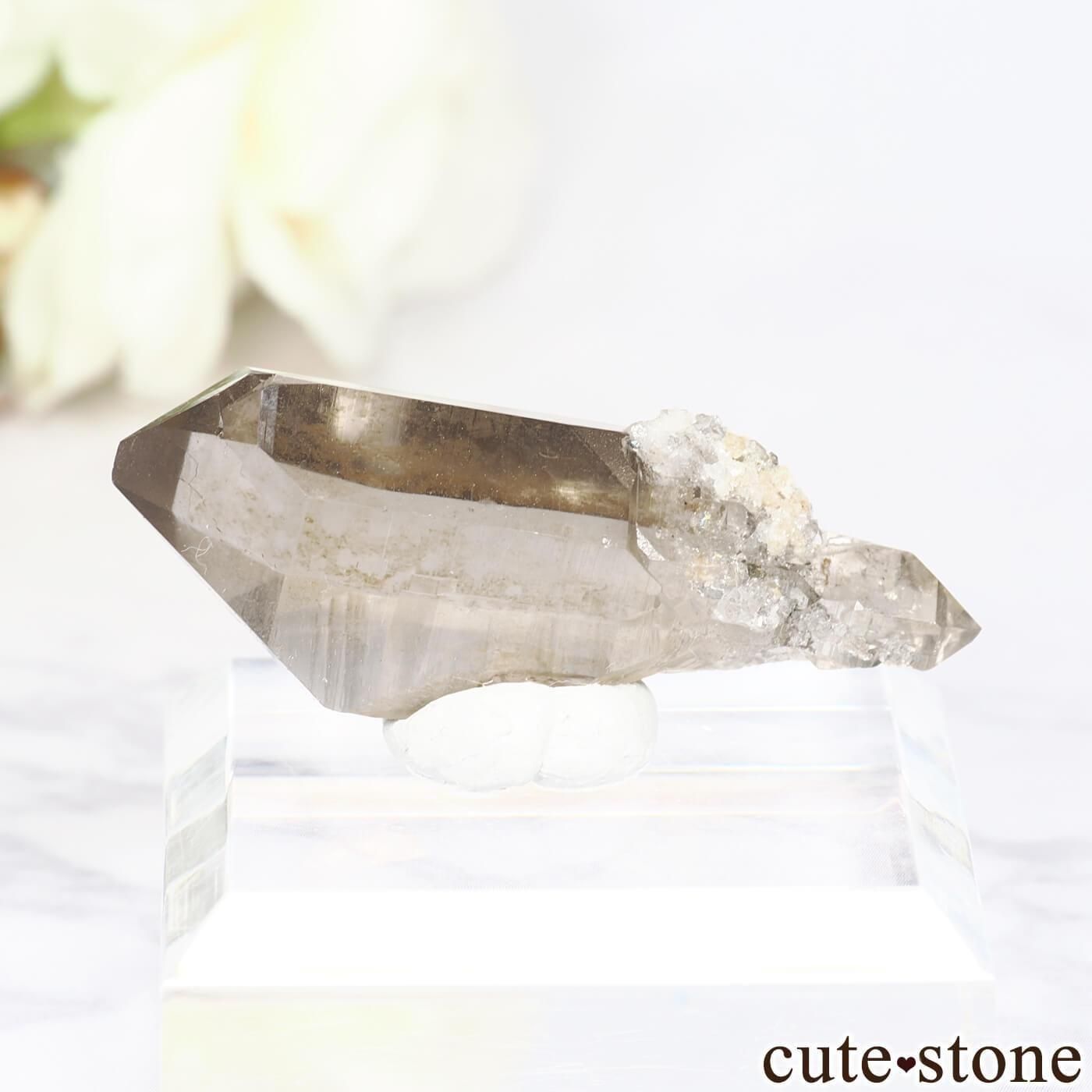 ե ֥󻺡ʥץ ⡼ġʿ徽 No.7μ̿1 cute stone