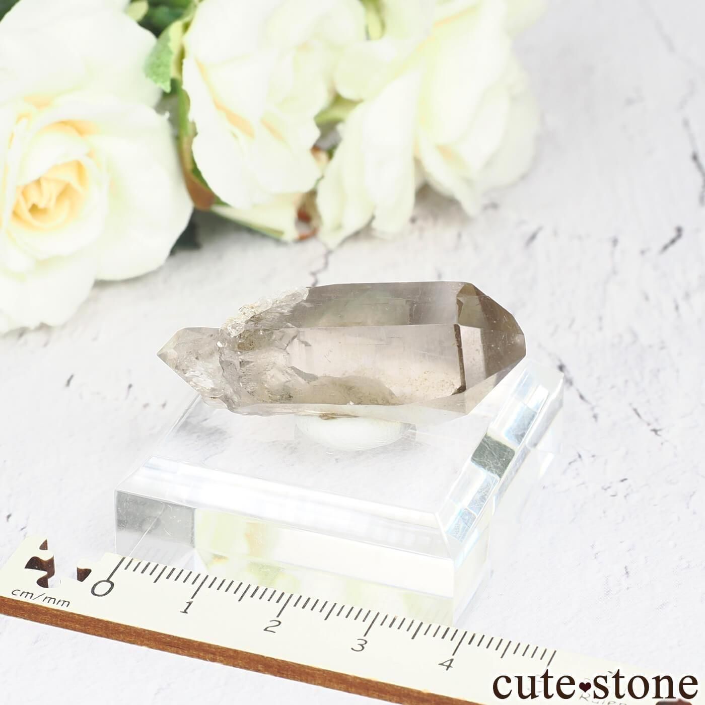 ե ֥󻺡ʥץ ⡼ġʿ徽 No.7μ̿3 cute stone