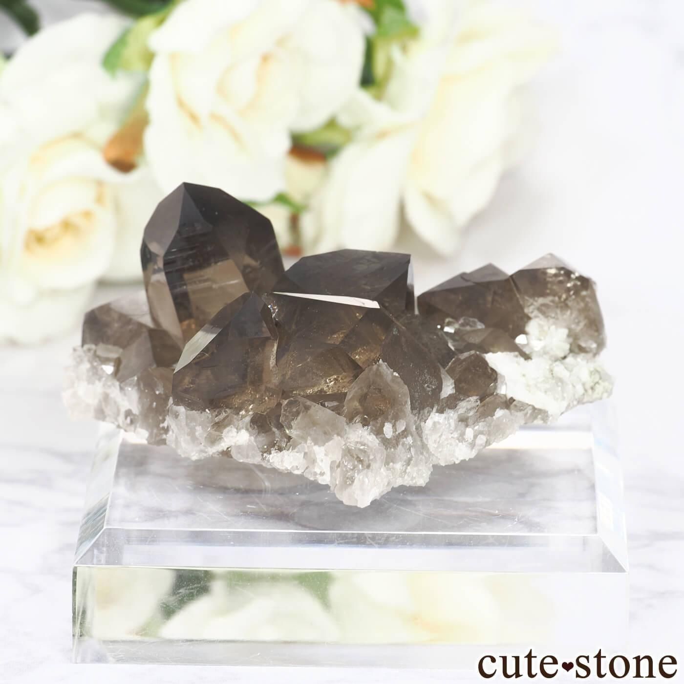 ե ֥󻺡ʥץ ⡼ġʿ徽 No.8μ̿1 cute stone