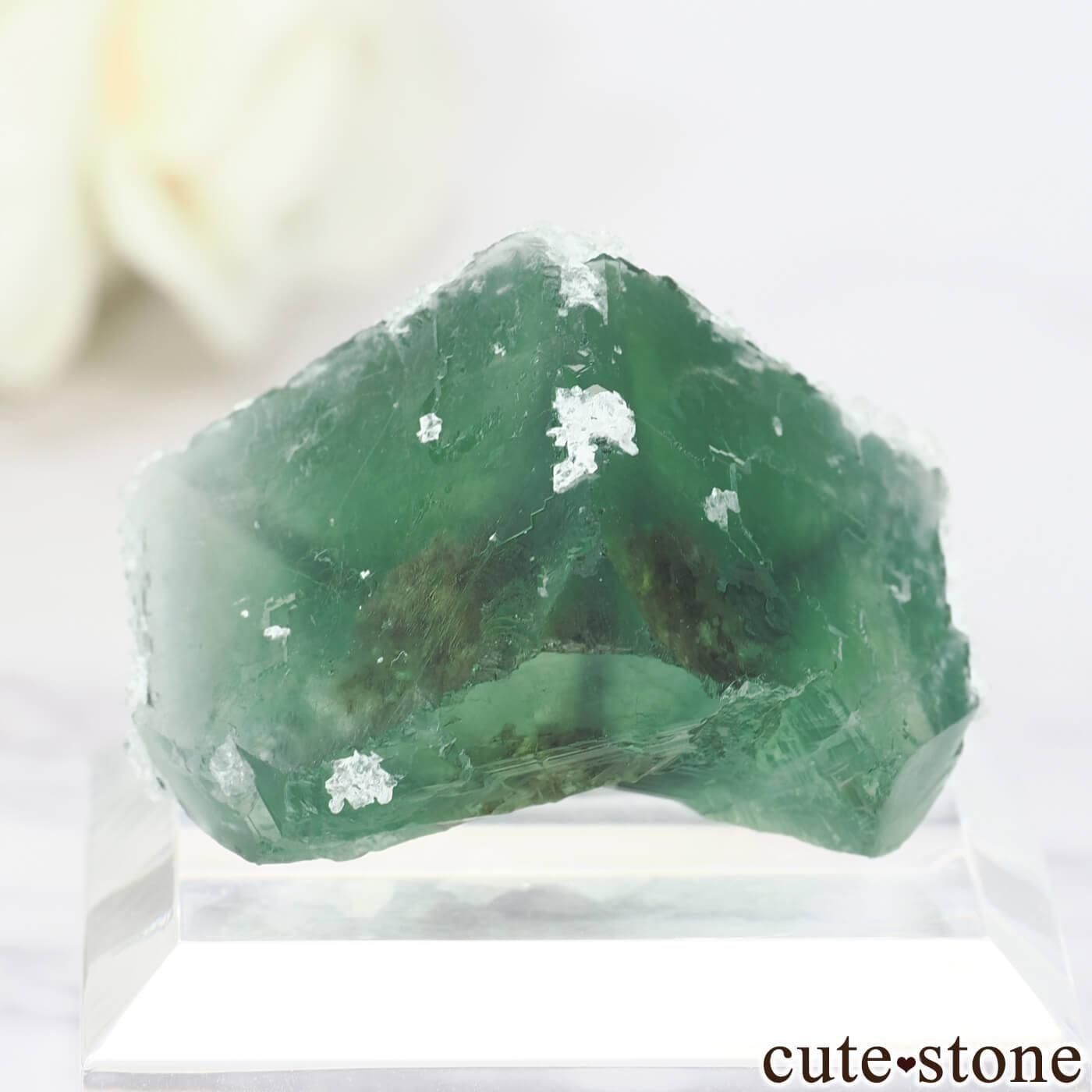 ʥߥӥ Okorusu Mine ե饤ȡ No.66μ̿1 cute stone