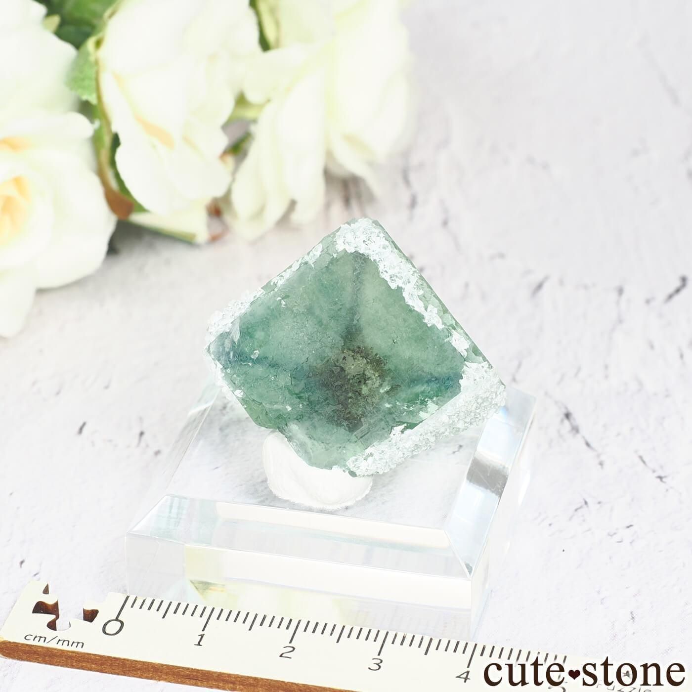 ʥߥӥ Okorusu Mine ե饤ȡ No.66μ̿3 cute stone