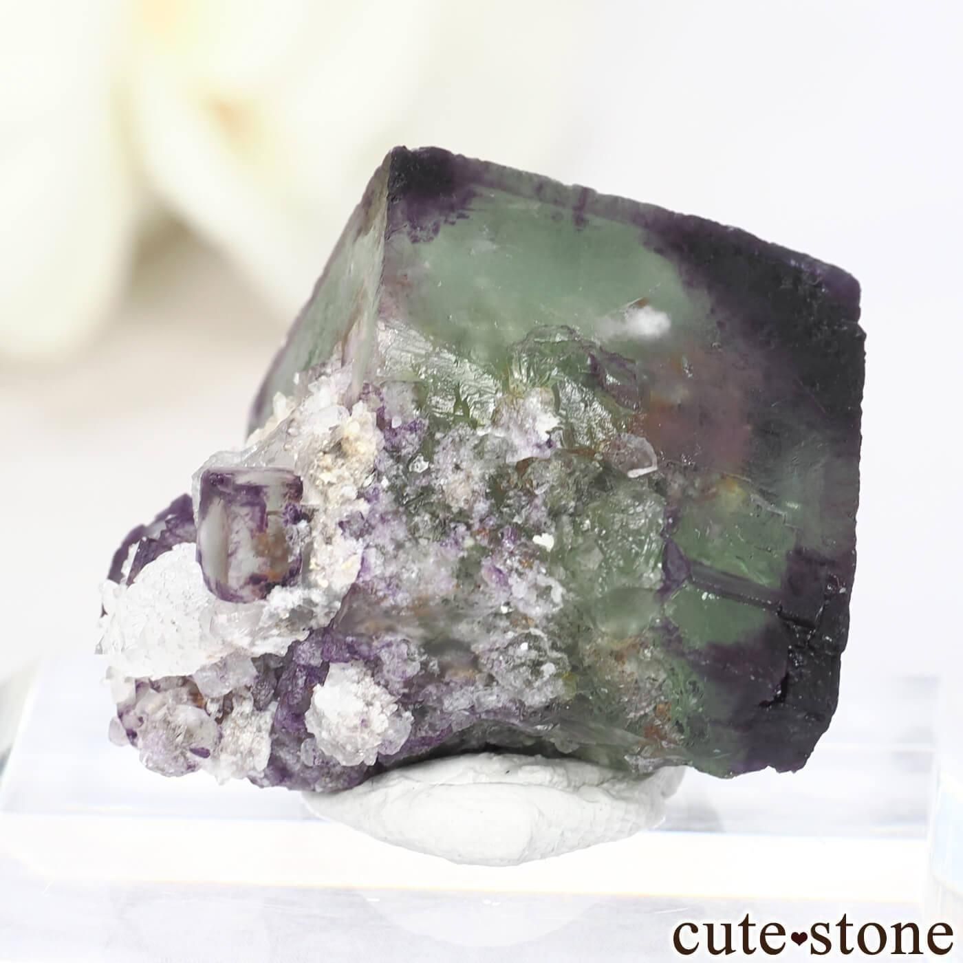 ʥߥӥ Okorusu Mine ե饤 No.67μ̿1 cute stone