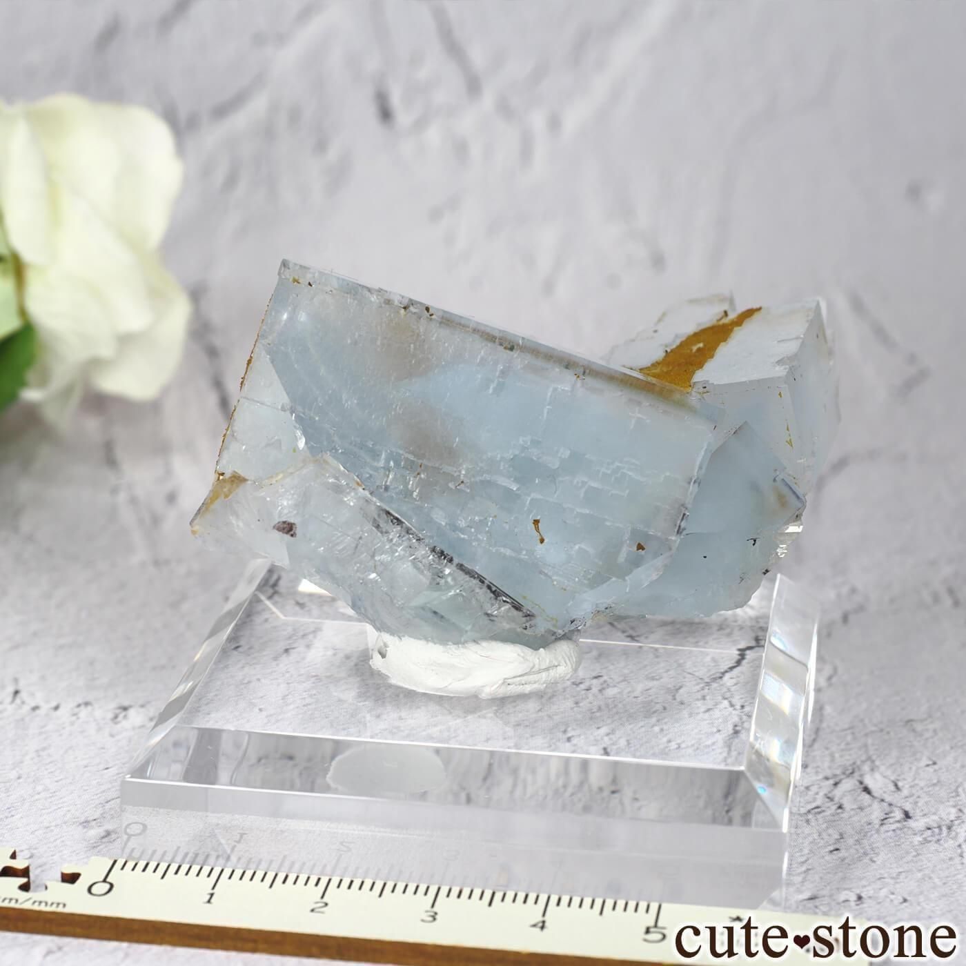 ɥ Clara Mine ե饤Ȥθ No.19μ̿3 cute stone