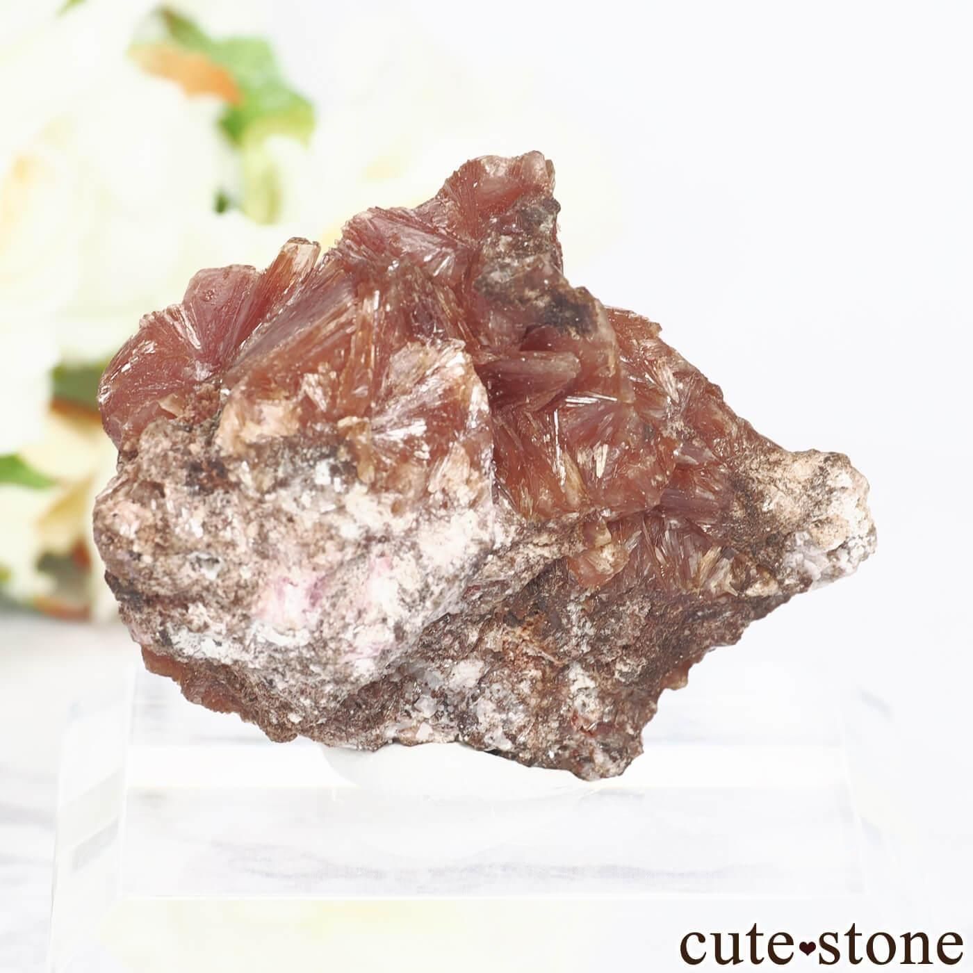 南アフリカ N'Chwaning I Mine産 イネサイトの原石 No.1の写真1 cute stone