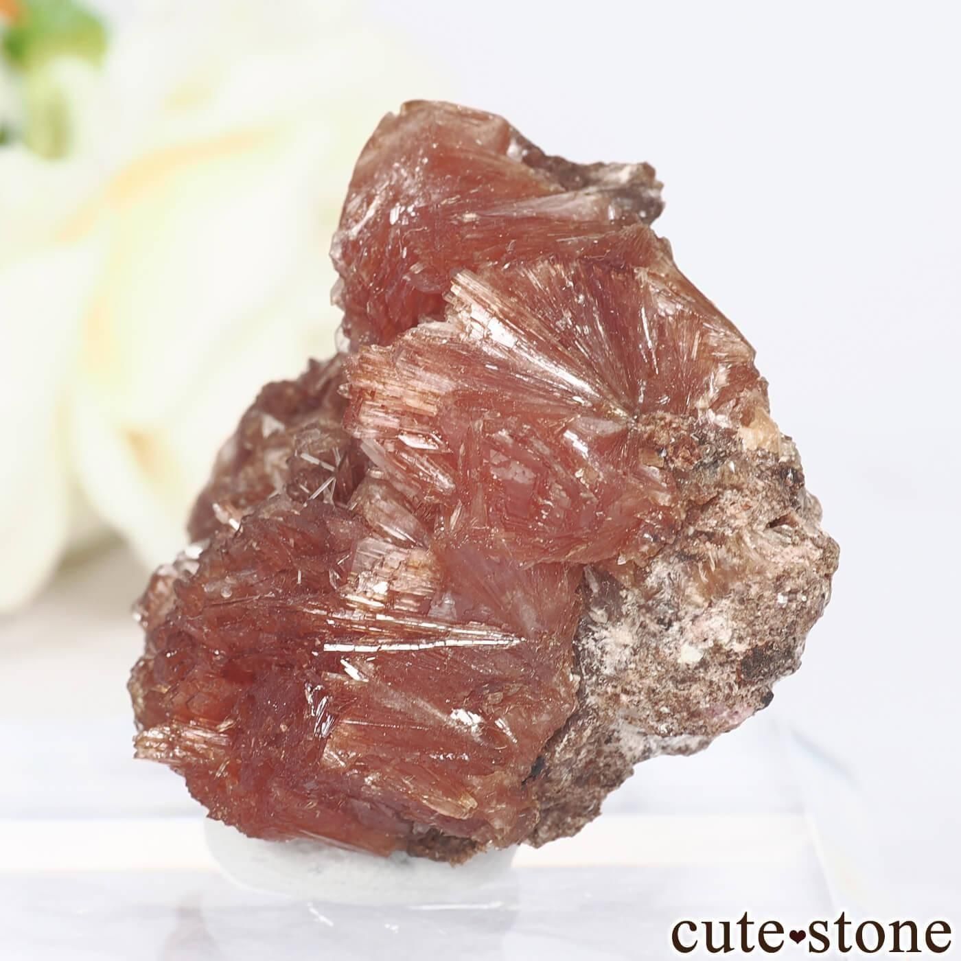 南アフリカ N'Chwaning I Mine産 イネサイトの原石 No.1の写真2 cute stone