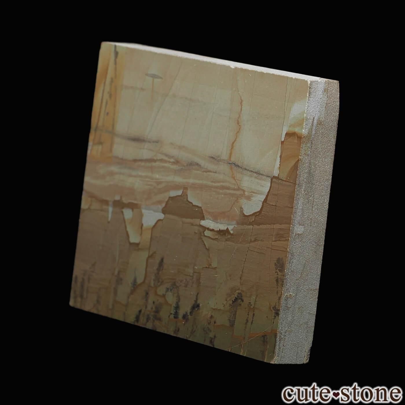 ꥢ ѥʥȡСˤΥ饤 No.15μ̿1 cute stone