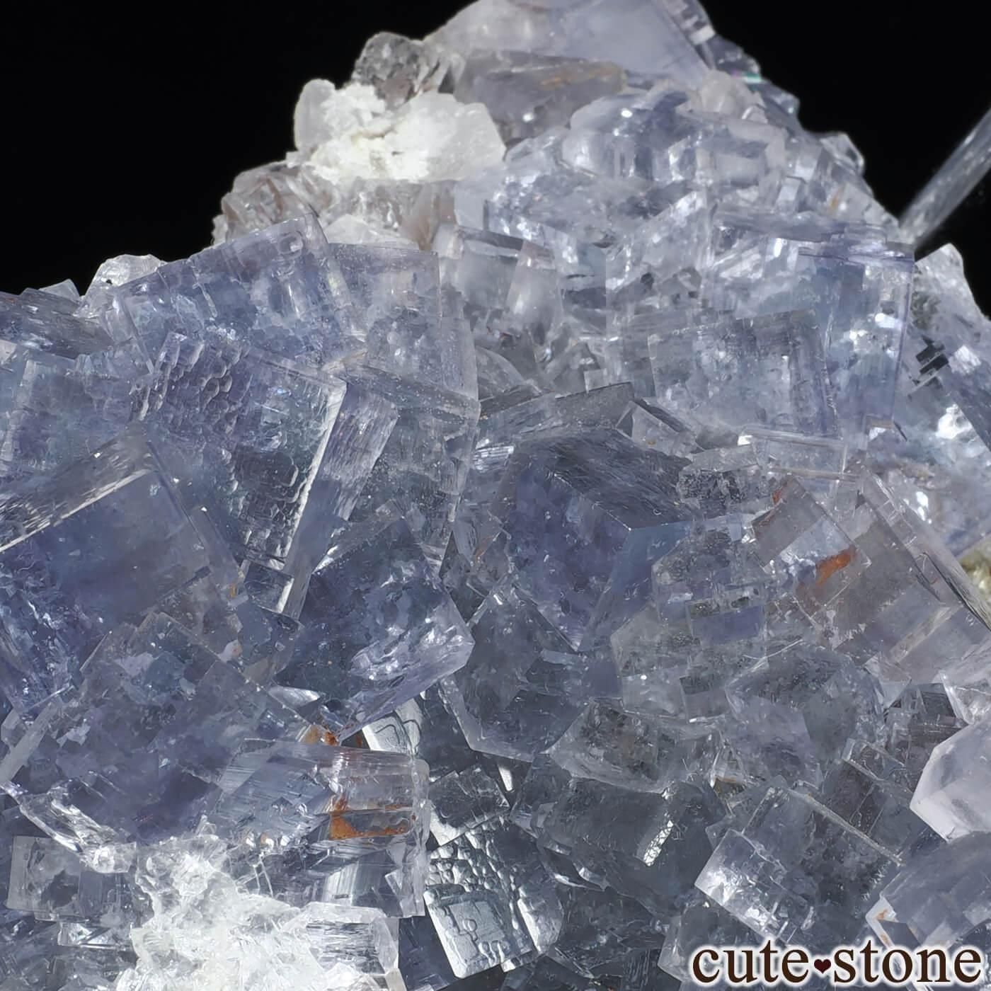 ڥ La Viesca Mine ֥롼ե饤ȡĤθ No.6μ̿0 cute stone