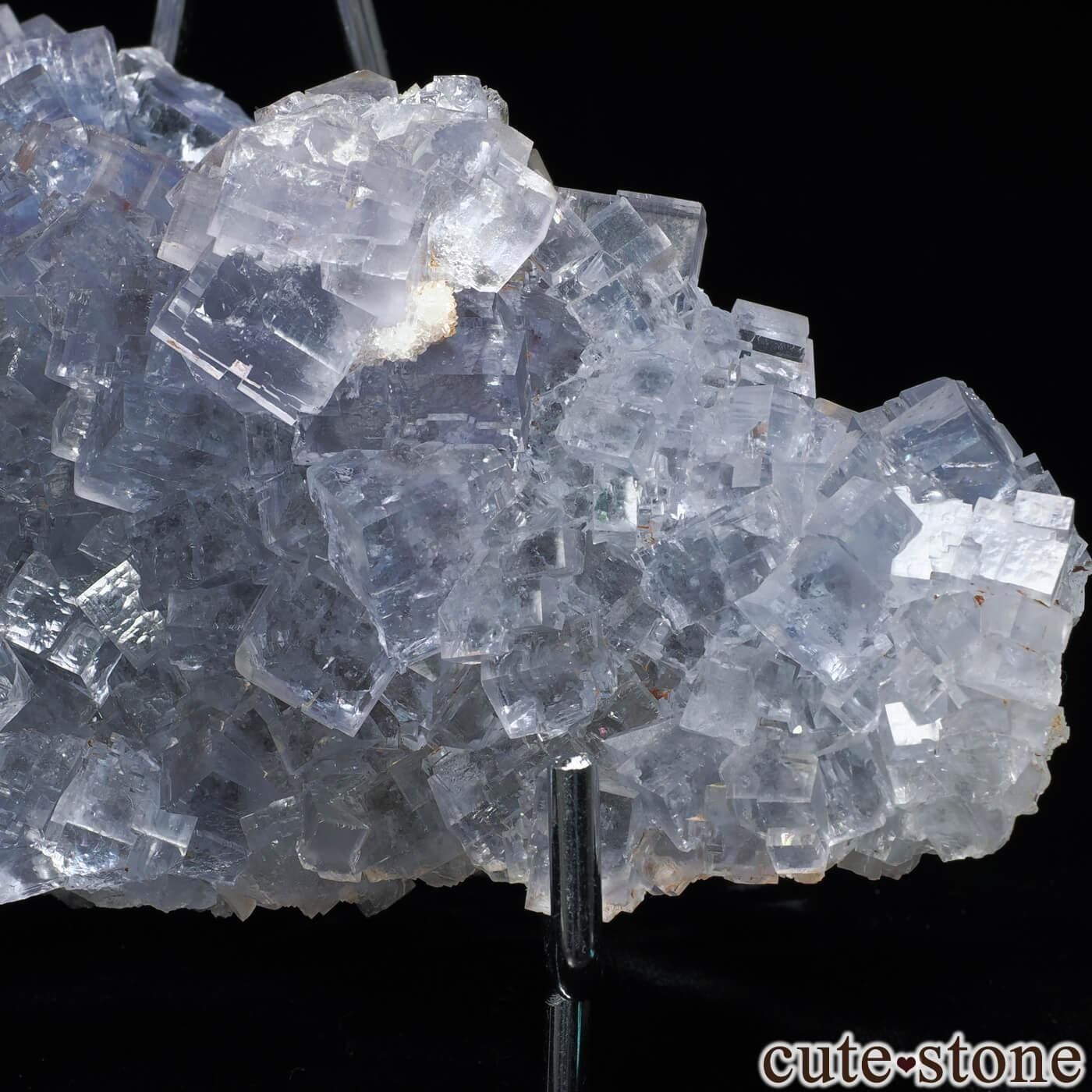 ڥ La Viesca Mine ֥롼ե饤ȡĤθ No.6μ̿1 cute stone