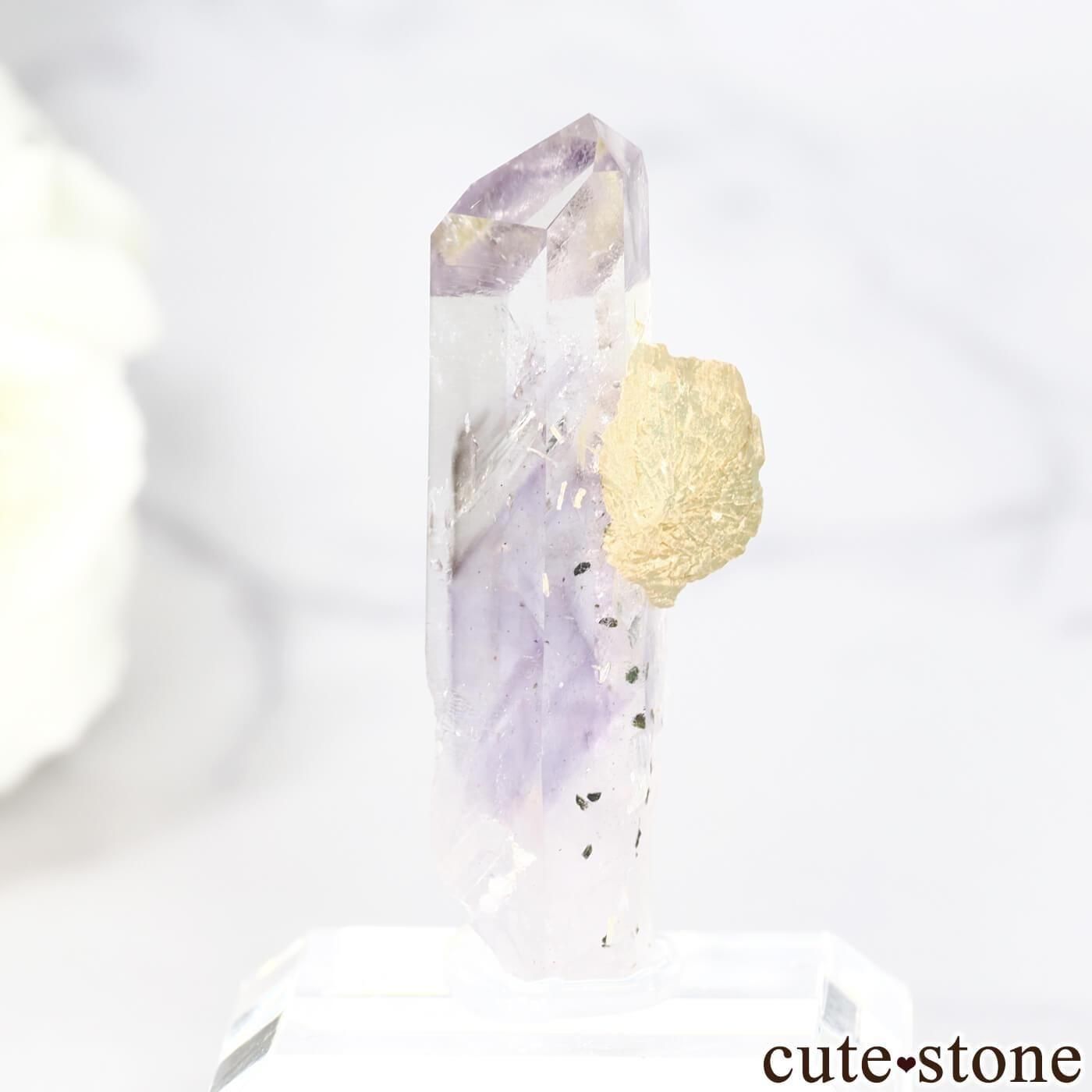 ʥߥӥ ֥ɥС Goboboseb 饤ȥ顼᥸ȡ⡼ġץʥ No.14μ̿1 cute stone