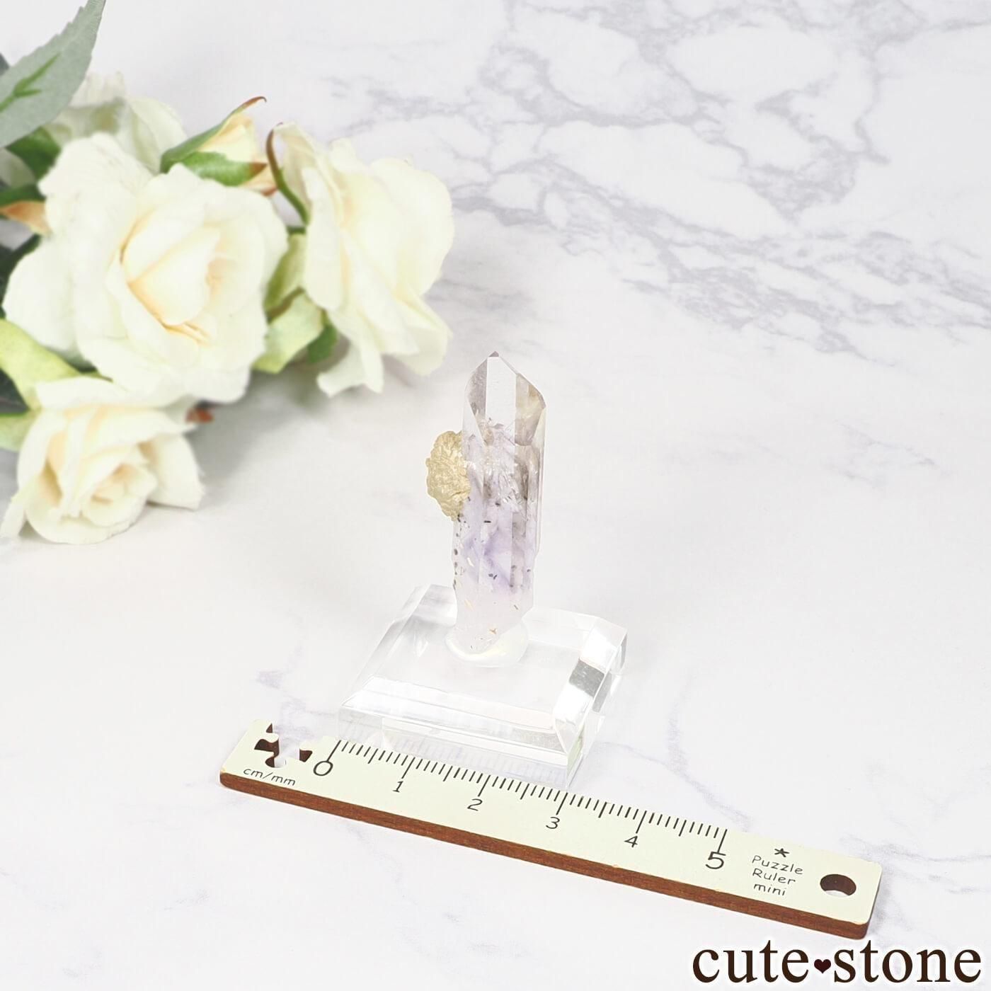 ʥߥӥ ֥ɥС Goboboseb 饤ȥ顼᥸ȡ⡼ġץʥ No.14μ̿4 cute stone