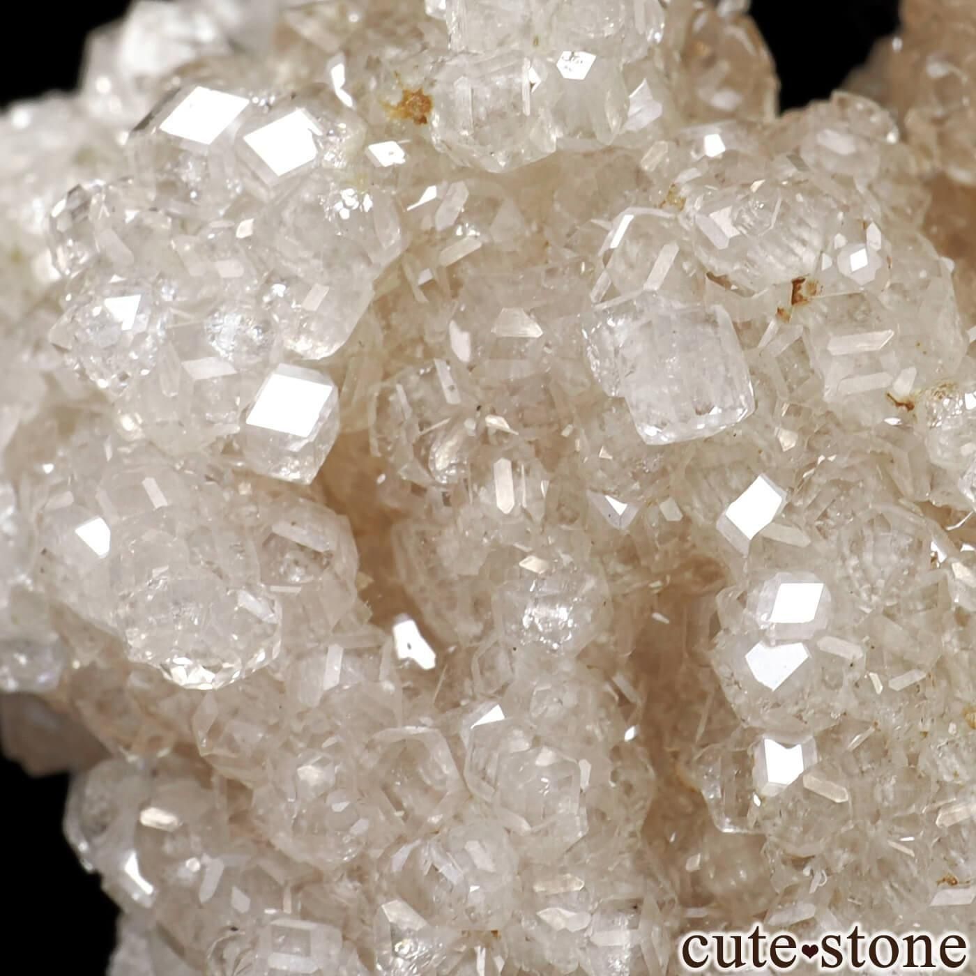 ʥ ٥å Jeffrey Mine ۥ磻ȥͥåȡʥ塼ˤθ No.4μ̿3 cute stone