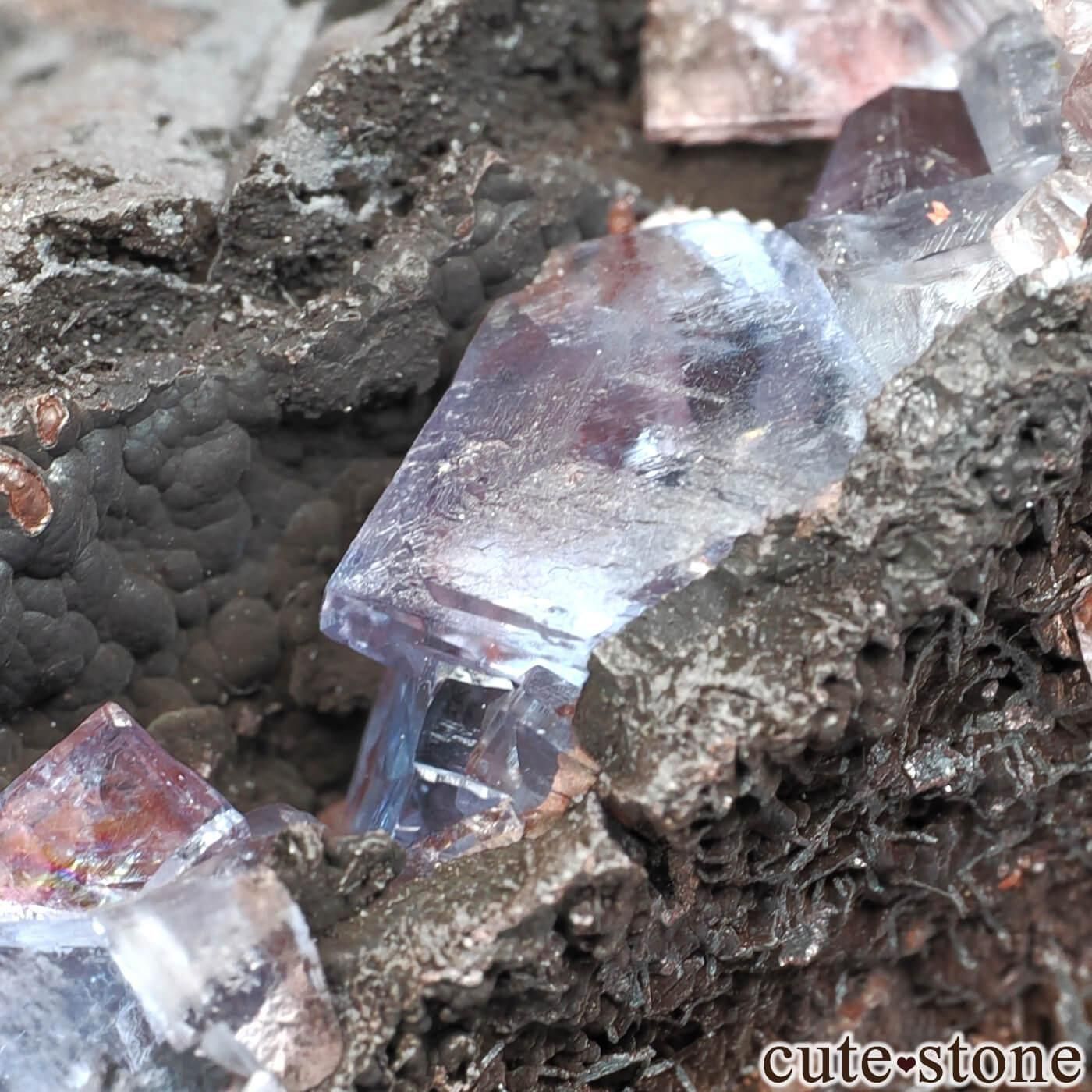 イングランド Florence Mine産 フローライト＆ヘマタイトの原石 No.4