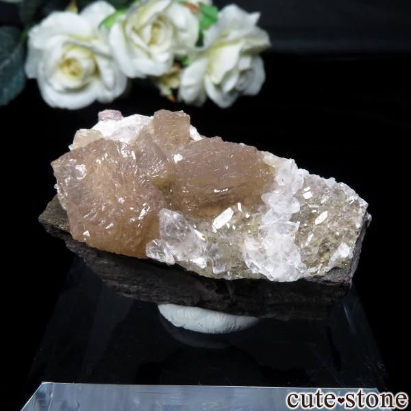 cute stone ｜アイテムの検索（15,001円～20,000円）