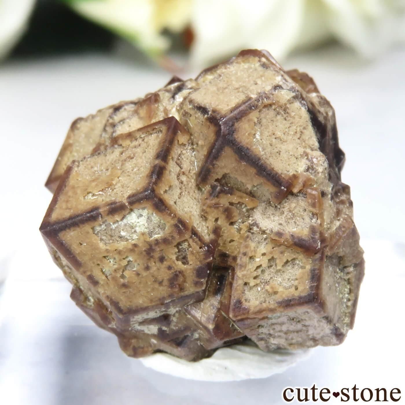 アフロディーテと天使像 シマストーン アフロディーテと天使像 シマ