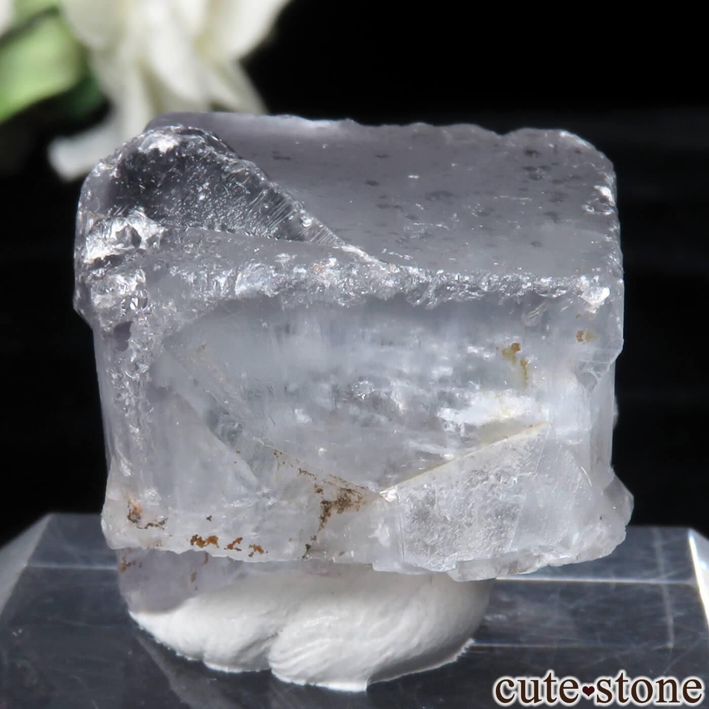 󥰥 Heights Mine ե饤Ȥθ No.3μ̿1 cute stone