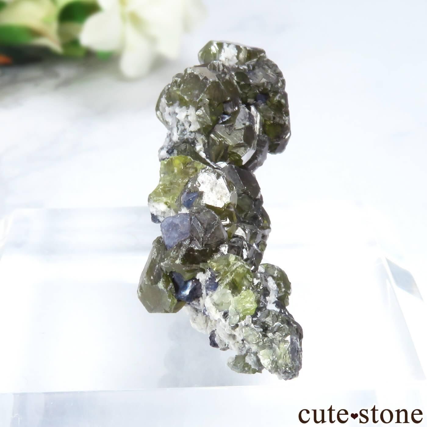 ブルガリア Septemvri Mine産 スファレライト（クライオフェン