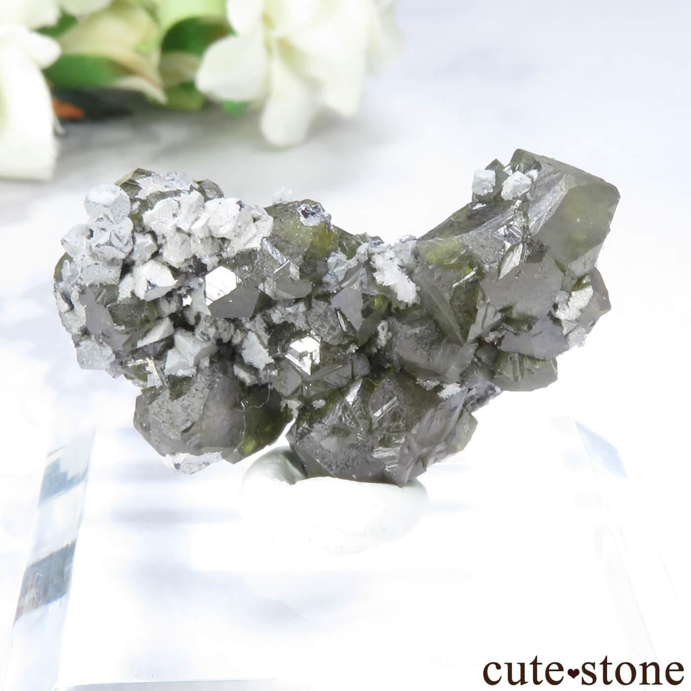 ֥륬ꥢ Septemvri Mine ե饤ȡʤθ No.7μ̿1 cute stone