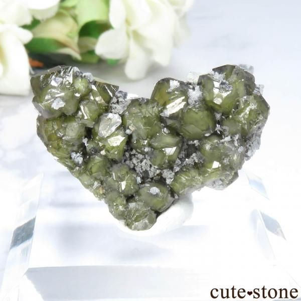 ֥륬ꥢ Septemvri Mine ե饤ȡʤθ No.7β