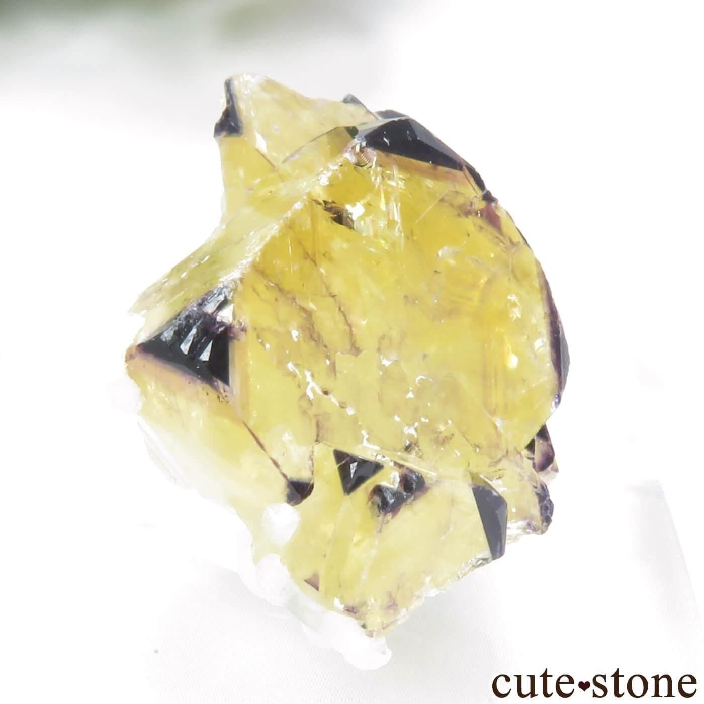 ナミビア Okorusu Mine｜D-Pit産 フローライトの原石 No.69 - cute stone -