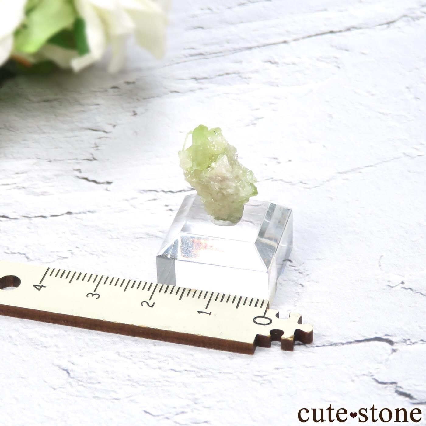 カナダ ケベック州 Jeffrey Mine産 ベスビアナイトの原石 No.14 - cute