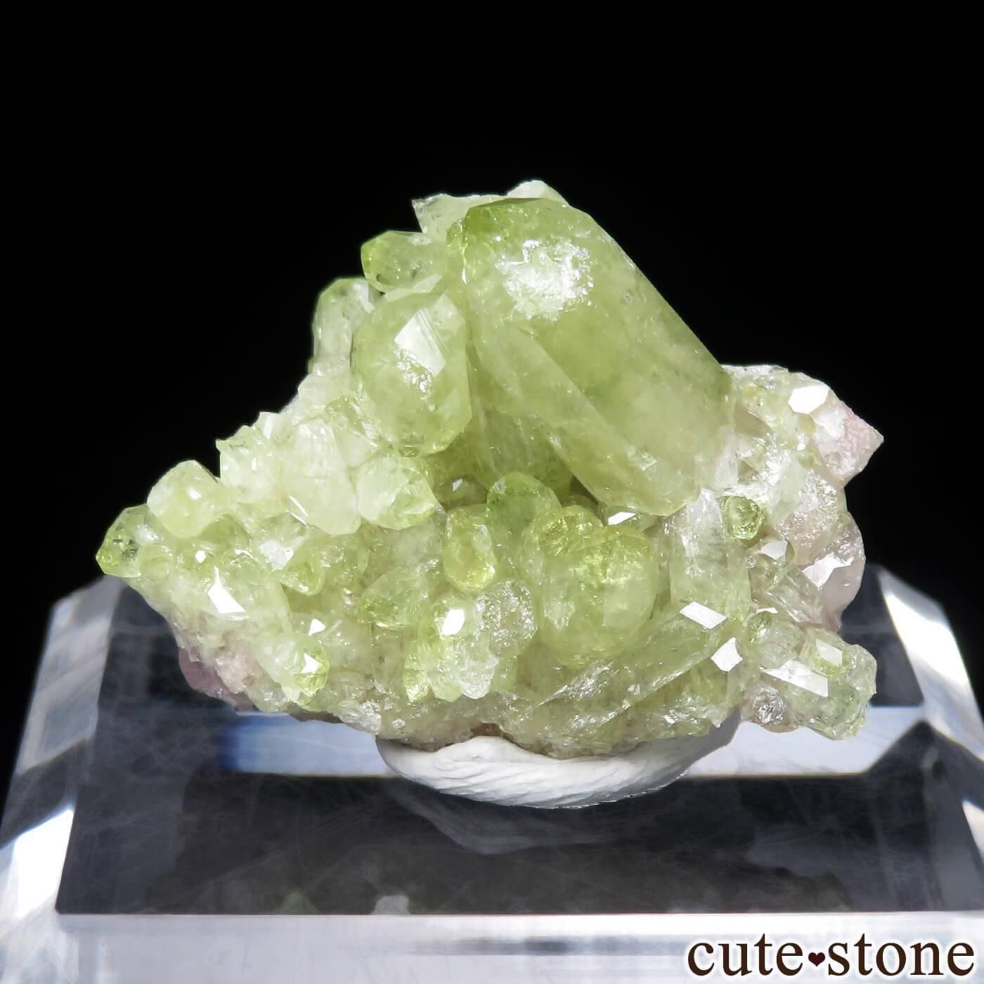 ベスビアナイト　バイカラー　鉱物標本　原石　天然石　ストーン　ジェフリー鉱山 ジェフリー鉱山 ベスブ石（ベスビアナイト） | 鉱物標本,ハ行,ベスビア