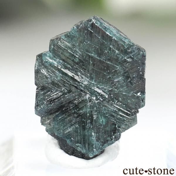 Х֥ Novello Mine 쥭ɥ饤ȡʥ꥽٥ˤθ No.8β