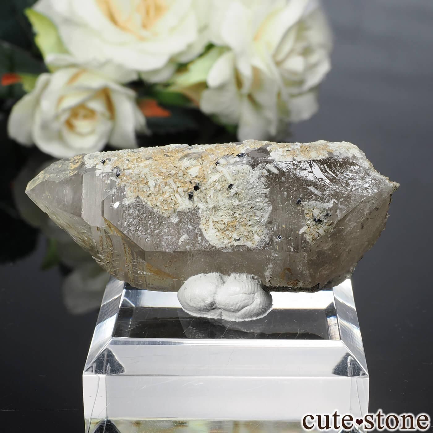 希少産地アナテース　鋭錐石　鉱物標本　ノルウェー産 希少産地アナテース 鋭錐石 鉱物標本 ノルウェー産 希少産地