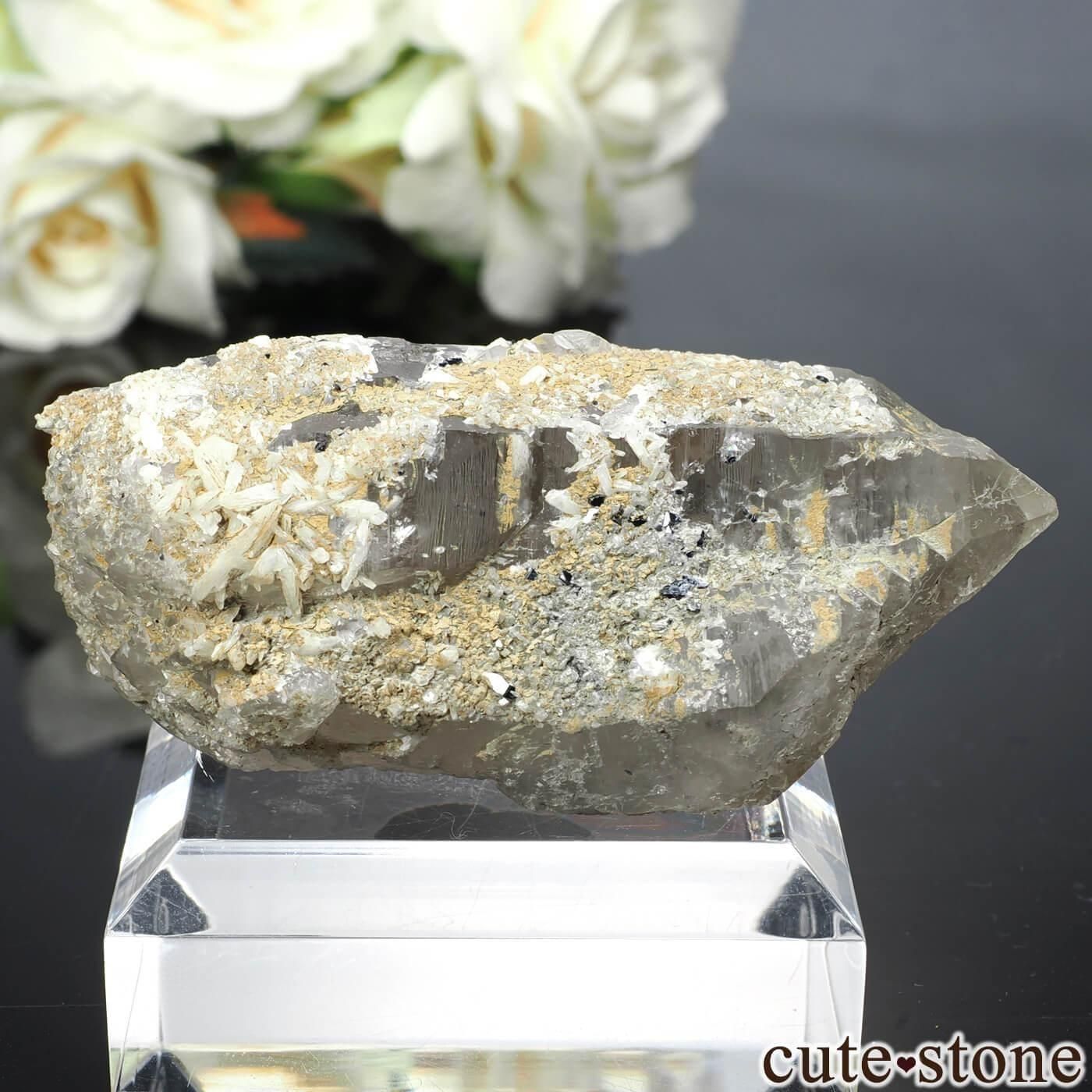 Υ륦 Hardangervidda ʥơ θ No.10μ̿1 cute stone